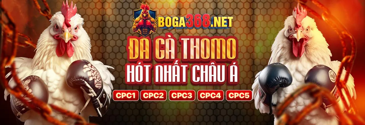 Các phương thức thanh toán an toàn tại Z88 Nhà Cái