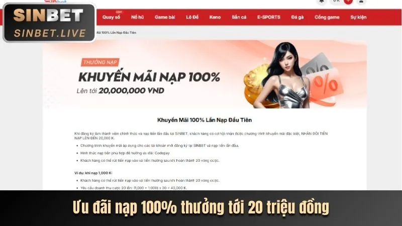 Biểu đồ hiển thị lịch sử giao dịch nạp và rút tiền.